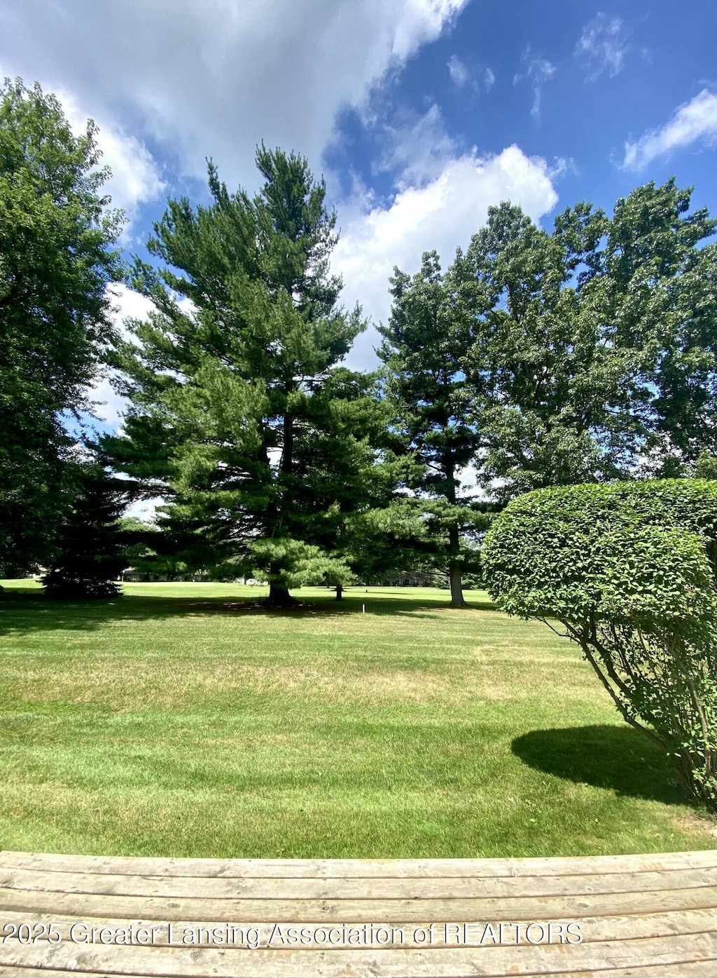 2071 Lac Du Mont, Haslett, MI 48840 - photo 2