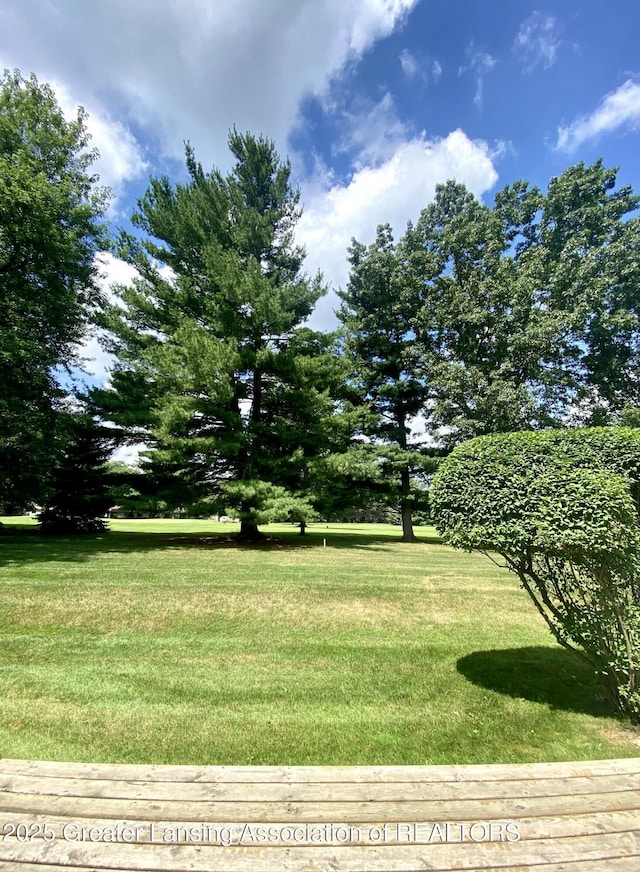2071 Lac Du Mont, Haslett, MI 48840 - photo 2