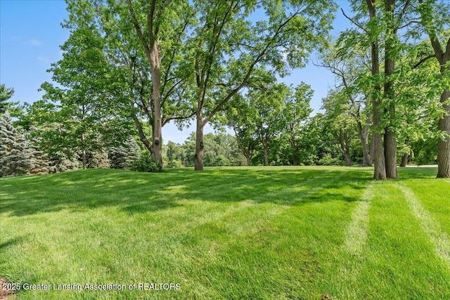 3537 Winborn Dr, Dewitt, MI 48820 - view of grassy yard
