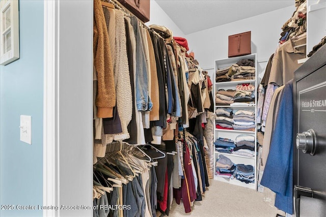 3537 Winborn Dr, Dewitt, MI 48820 - spacious closet featuring carpet flooring