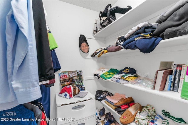 3537 Winborn Dr, Dewitt, MI 48820 - view of walk in closet