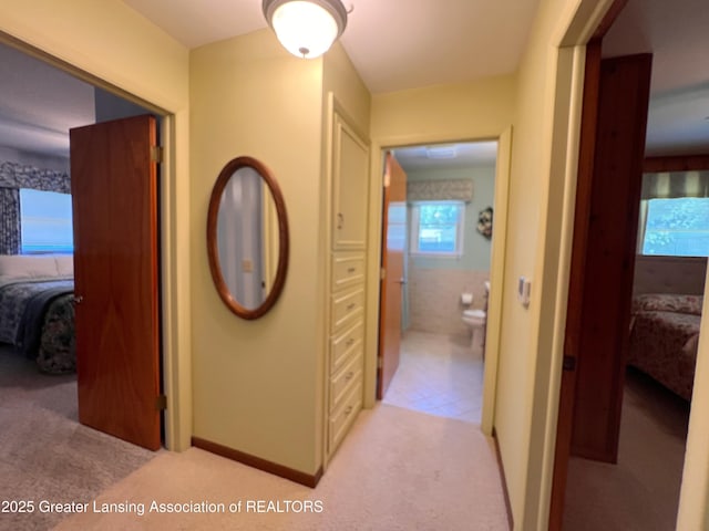 6716 Bunker Hill Dr, Lansing, MI 48906 - corridor with light carpet