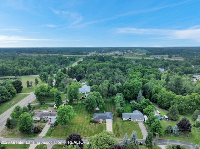 6716 Bunker Hill Dr, Lansing, MI 48906 - drone / aerial view of a forest