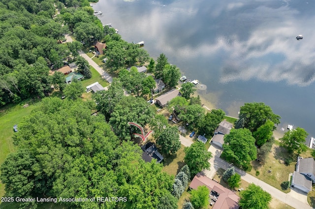 1337 Shepard St, Crystal, MI 48818 - aerial view of a nearby body of water