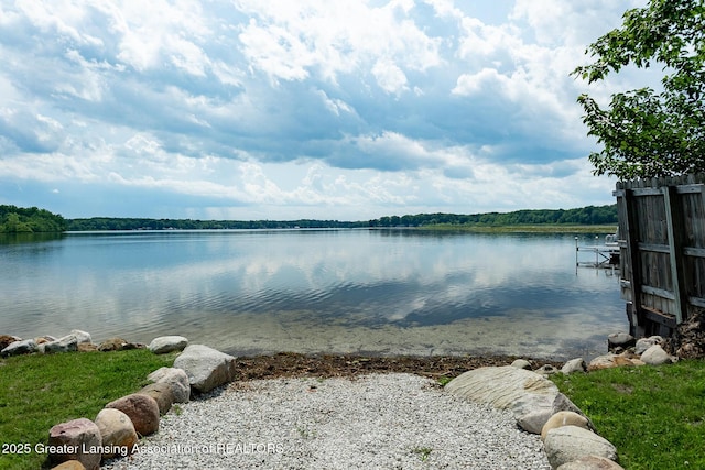 1337 Shepard St, Crystal, MI 48818 - water view
