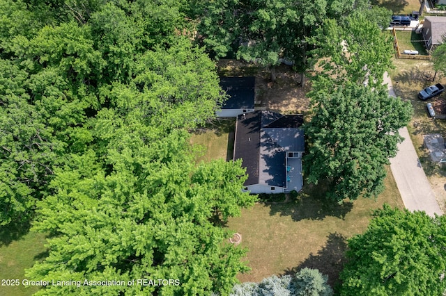 1337 Shepard St, Crystal, MI 48818 - drone / aerial view