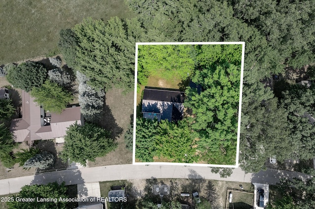1337 Shepard St, Crystal, MI 48818 - view of property location featuring property boundaries highlighted
