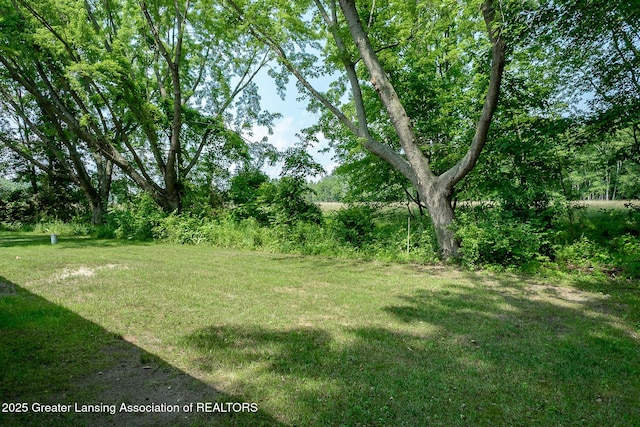 1337 Shepard St, Crystal, MI 48818 - view of green lawn