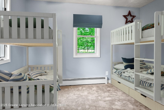 1337 Shepard St, Crystal, MI 48818 - bedroom with carpet and baseboard heating
