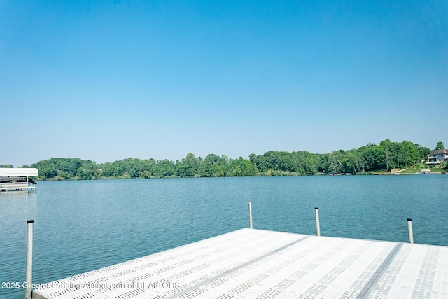 4813 Lakeside Dr, Perrinton, MI 48871 - photo 75