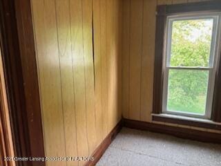 429 E Bridge St, Lyons, MI 48851 - photo 5