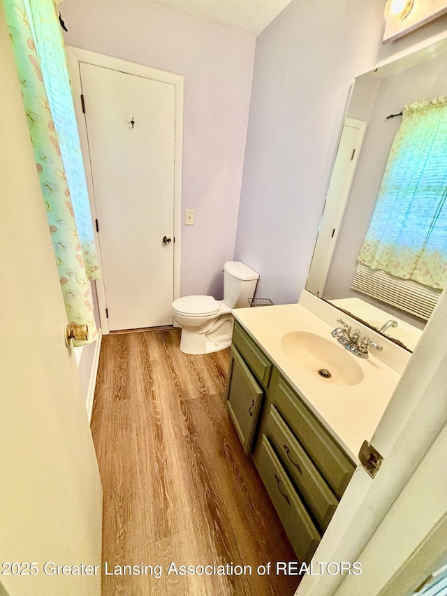 1214 Otto Rd Unit R1, Charlotte, MI 48813 - full bathroom featuring wood finished floors, vanity, and a shower with shower curtain
