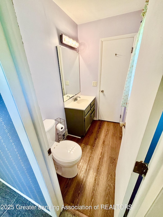 1214 Otto Rd Unit R1, Charlotte, MI 48813 - bathroom with wood finished floors and vanity