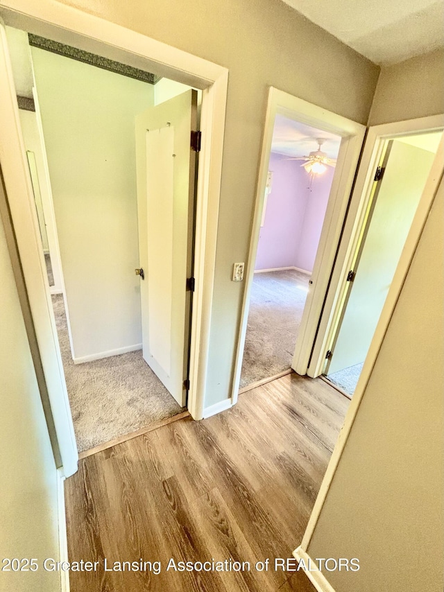 1214 Otto Rd Unit R1, Charlotte, MI 48813 - hallway featuring wood finished floors and carpet flooring