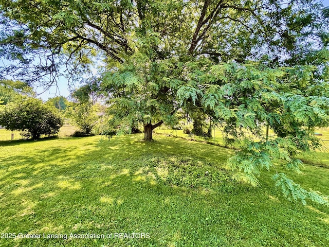 1214 Otto Rd Unit R1, Charlotte, MI 48813 - view of yard