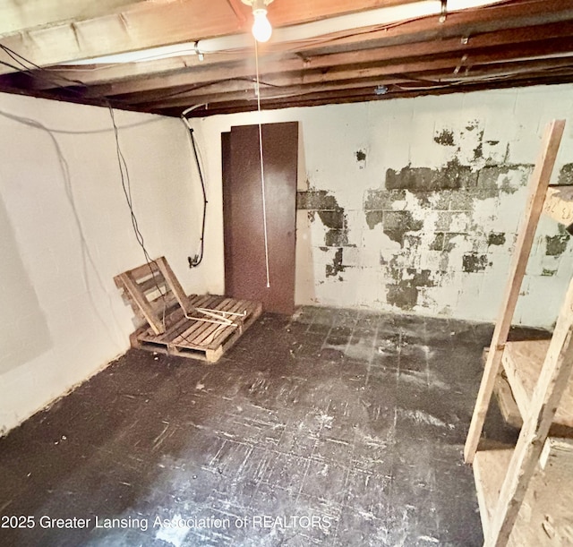 1214 Otto Rd Unit R1, Charlotte, MI 48813 - view of unfinished below grade area