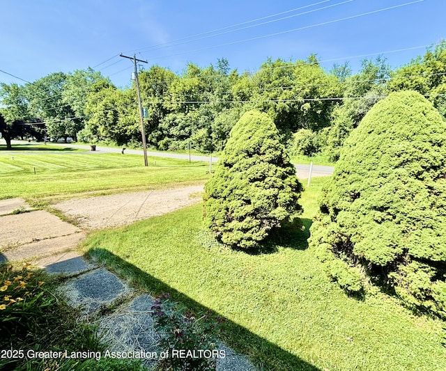 1214 Otto Rd Unit R1, Charlotte, MI 48813 - view of green lawn