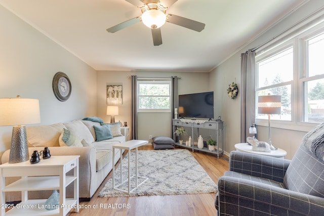 1220 Seymour St, Grand Ledge, MI 48837 - living area with a ceiling fan, wood finished floors, and crown molding