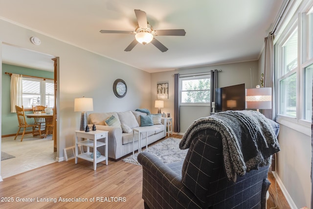 1220 Seymour St, Grand Ledge, MI 48837 - living room with a ceiling fan, light wood-type flooring, and crown molding