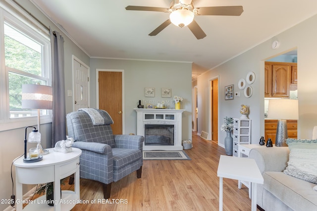 1220 Seymour St, Grand Ledge, MI 48837 - living room with light wood-style flooring, crown molding, ceiling fan, and a fireplace
