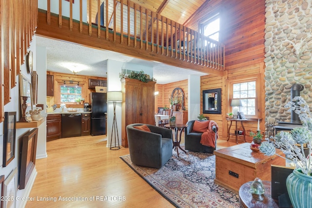 3536 N Royston Rd, Potterville, MI 48876 - living area featuring light wood-style floors, a wood stove, a towering ceiling, and wooden walls