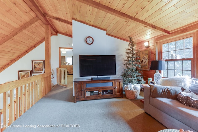 3536 N Royston Rd, Potterville, MI 48876 - living room featuring carpet floors and wooden ceiling