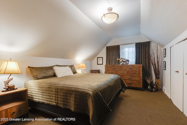3536 N Royston Rd, Potterville, MI 48876 - bedroom with carpet floors and vaulted ceiling