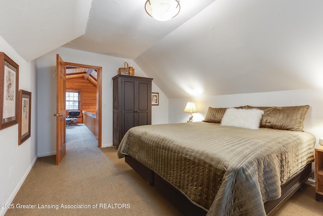 3536 N Royston Rd, Potterville, MI 48876 - bedroom with lofted ceiling and light colored carpet