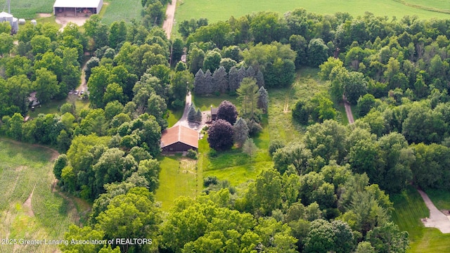 3536 N Royston Rd, Potterville, MI 48876 - view of rural area