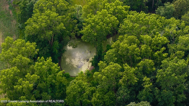 3536 N Royston Rd, Potterville, MI 48876 - aerial overview of property's location with a forest