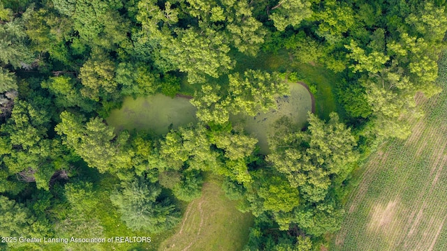 3536 N Royston Rd, Potterville, MI 48876 - aerial view of property's location