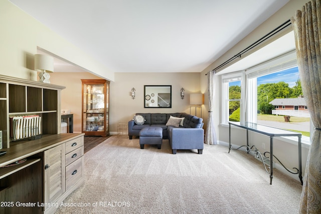 4629 Grandwoods Dr, Lansing, MI 48917 - living area with carpet flooring