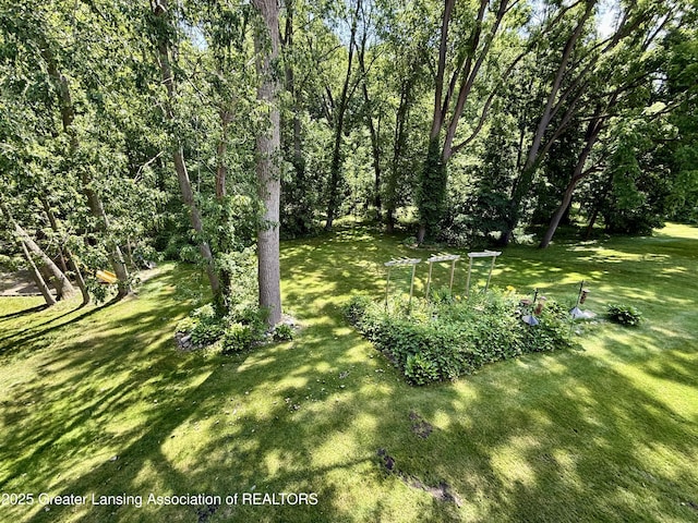 229 Williamsburg Rd, Lansing, MI 48917 - photo 57