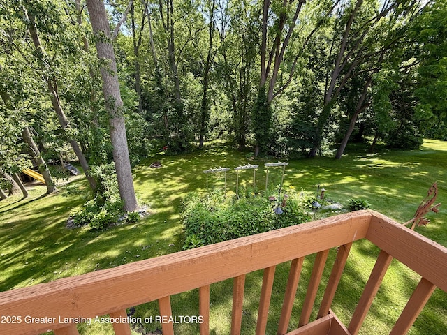229 Williamsburg Rd, Lansing, MI 48917 - photo 54
