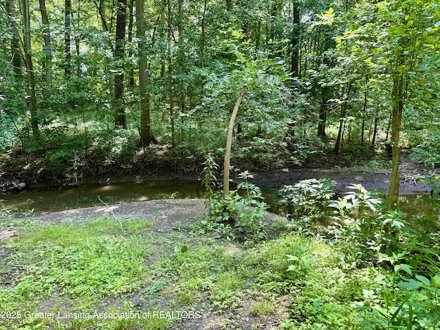 229 Williamsburg Rd, Lansing, MI 48917 - photo 62