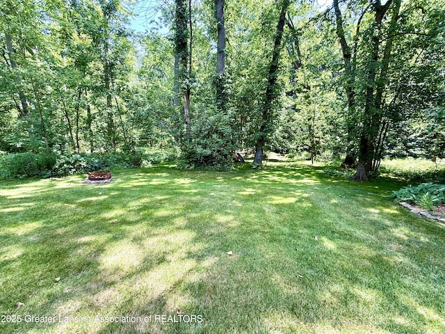 229 Williamsburg Rd, Lansing, MI 48917 - photo 58