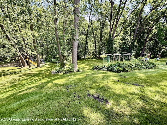 229 Williamsburg Rd, Lansing, MI 48917 - photo 59