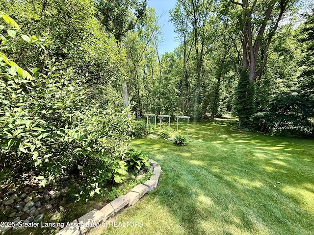 229 Williamsburg Rd, Lansing, MI 48917 - photo 61