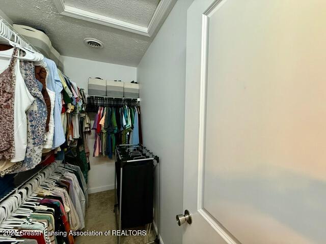 310 Brittany Ln, Mulliken, MI 48861 - spacious closet featuring attic access