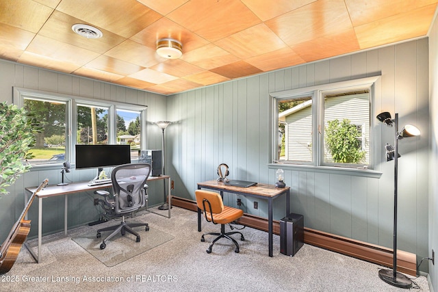 608 Belknap St, Grand Ledge, MI 48837 - view of carpeted office