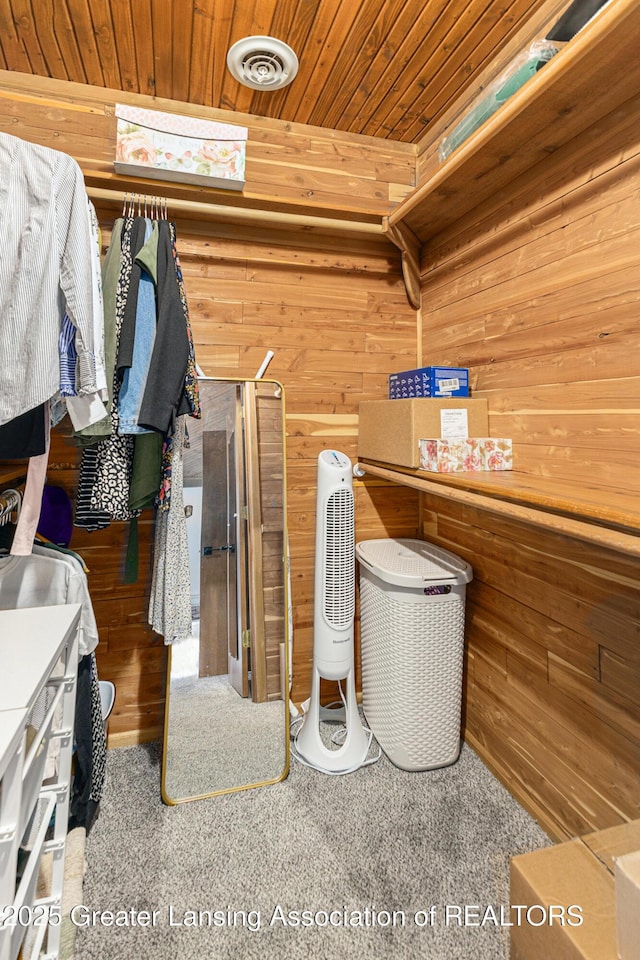 608 Belknap St, Grand Ledge, MI 48837 - spacious closet with carpet
