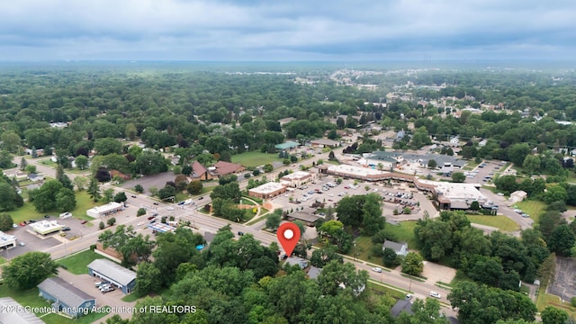 4461 Holt Rd, Holt, MI 48842 - aerial view