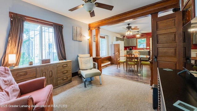 4461 Holt Rd, Holt, MI 48842 - sitting room featuring a ceiling fan, carpet flooring, and healthy amount of natural light