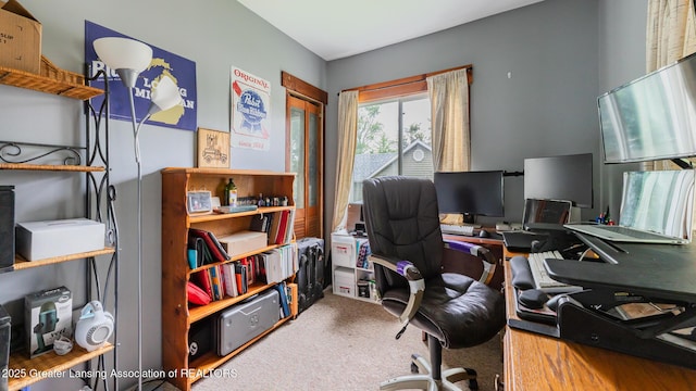 4461 Holt Rd, Holt, MI 48842 - view of carpeted office