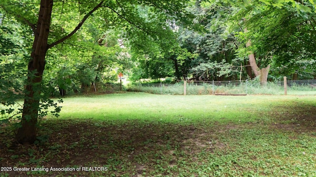 4461 Holt Rd, Holt, MI 48842 - view of yard