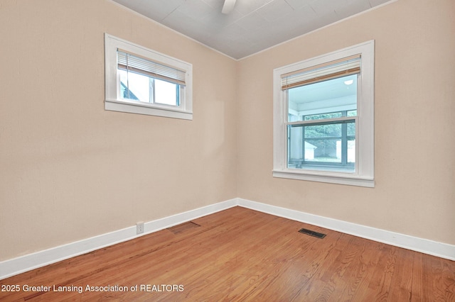 1730 Stirling Ave, Lansing, MI 48910 - photo 11