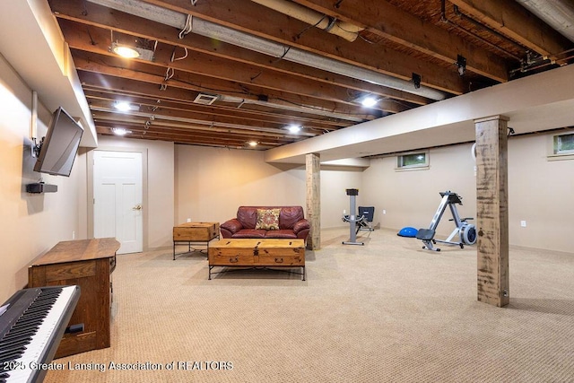 3536 Burkley Rd, Williamston, MI 48895 - finished basement featuring carpet flooring