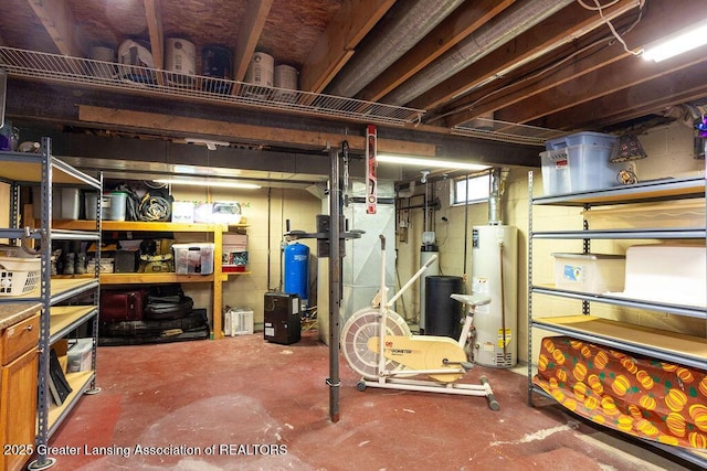 3536 Burkley Rd, Williamston, MI 48895 - below grade area featuring gas water heater and a water pressure tank