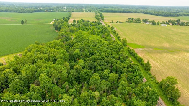 3536 Burkley Rd, Williamston, MI 48895 - overview of rural landscape