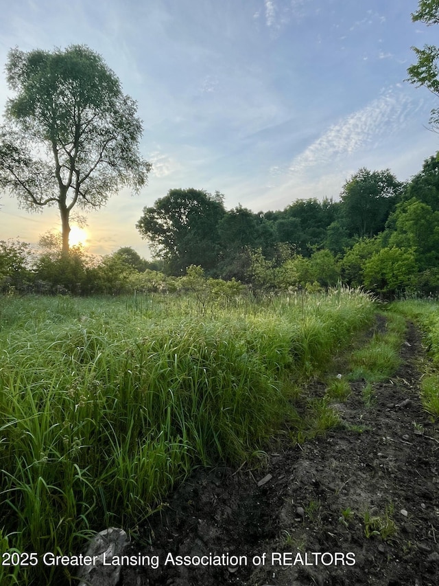 3536 Burkley Rd, Williamston, MI 48895 - view of nature at dusk
